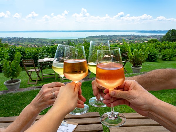 Esperienza privata sul lago Balaton con degustazione di vini