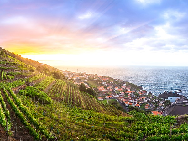 Madeira wine tasting and sightseeing private tour from Funchal