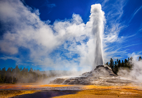 yellowstone expeditions
