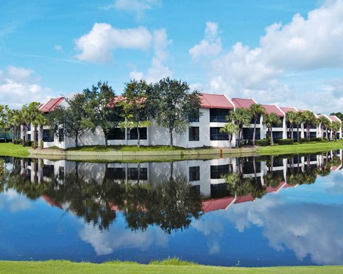 Sabal Palms