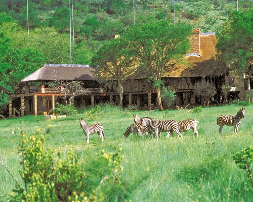 Kwa Maritane Bush Lodge
