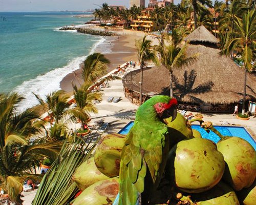Hotel Las Palmas Beach Resort