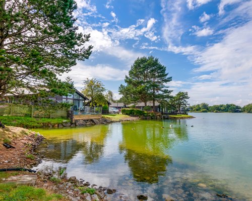Pine Lake Resort