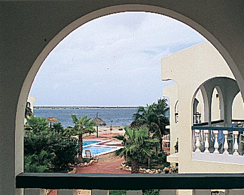 Buddy Dive Resort