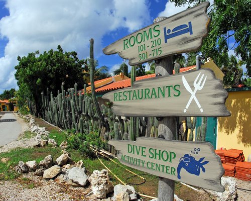 Buddy Dive Resort