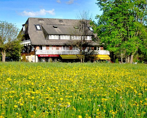 Adler Bellevue Ferienclub E.V.