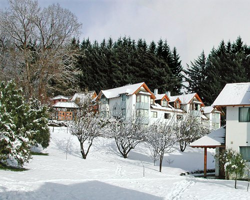 Rupu Pehuén