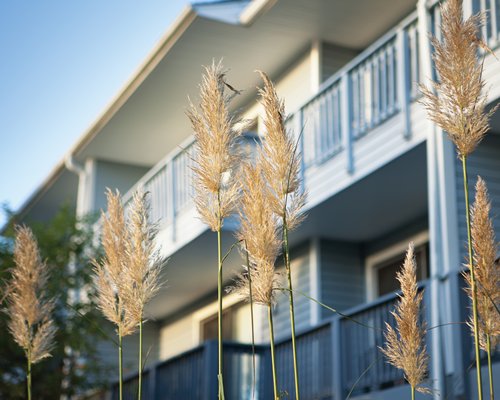 Harbourside II Condominiums