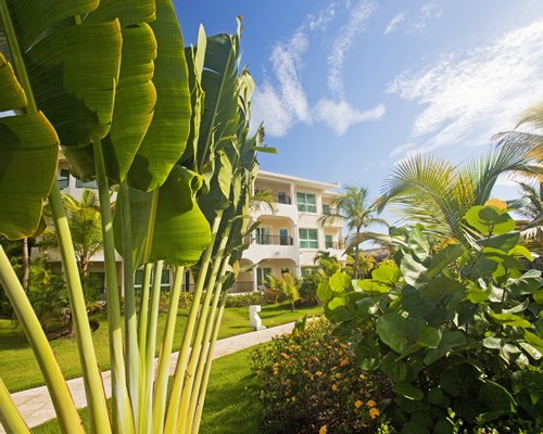 MVC at Paradisus Punta Cana