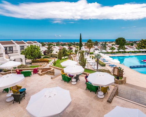 The Olive Tree Hotel