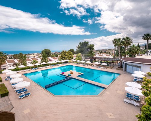 The Olive Tree Hotel