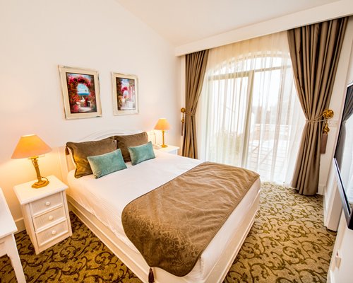 The Olive Tree Hotel
