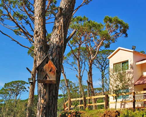 Pineland Resort and Country Club