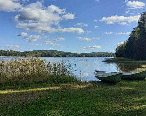 Laukaan Pitkäniemi III