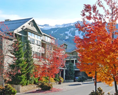 Vitality Assurance Vacations @ Tyndall Stone