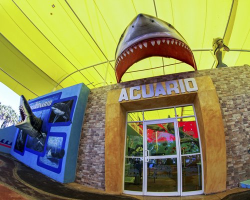 Splash Inn León