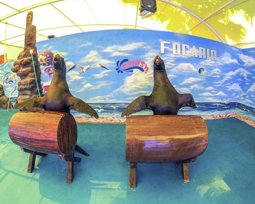 Splash Inn León