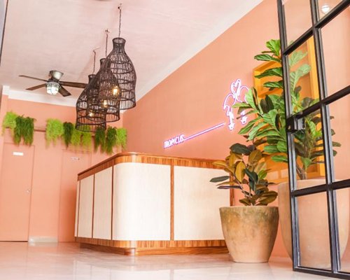 Hotel Boutique Tropicus