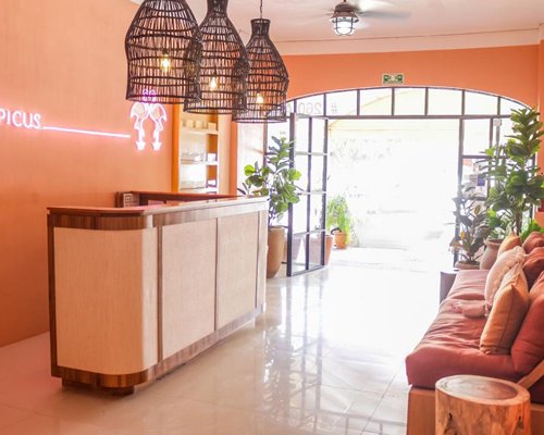 Hotel Boutique Tropicus