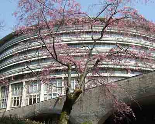 Grand Prince Hotel Kyoto - 3 Nights