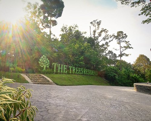 The Tree Residence