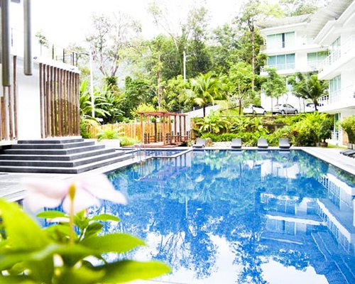 The Tree Residence