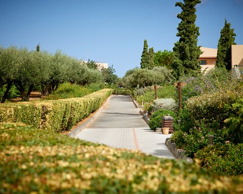 Rental - Village Heights