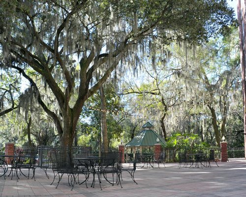 Hilton Garden Inn Tampa East Brandon