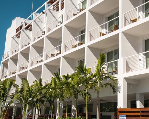 The Sarasota Modern