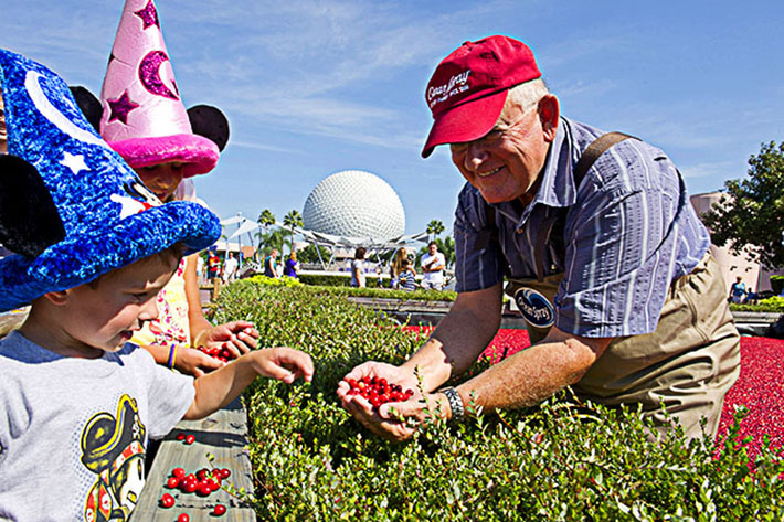 Walt Disney World