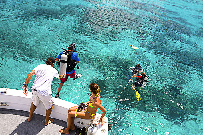 Riviera Maya - Buceo