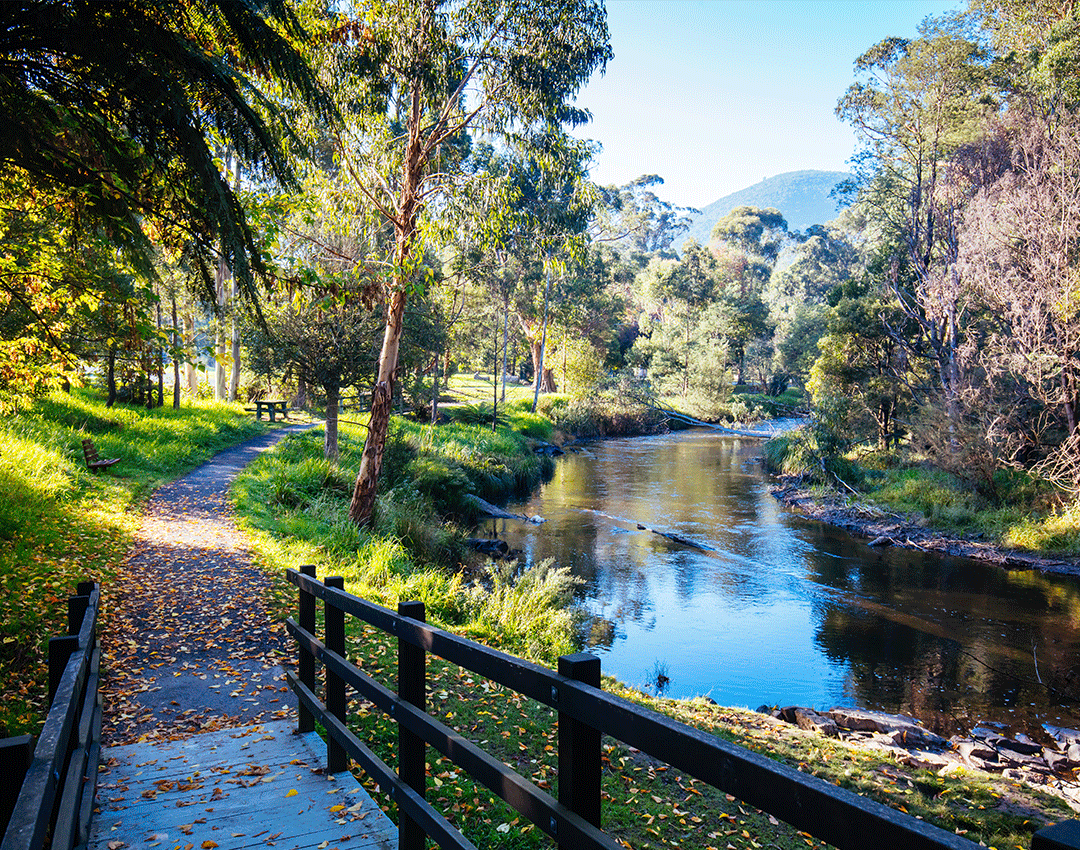 Enjoy a leisurely walk along Yarra River