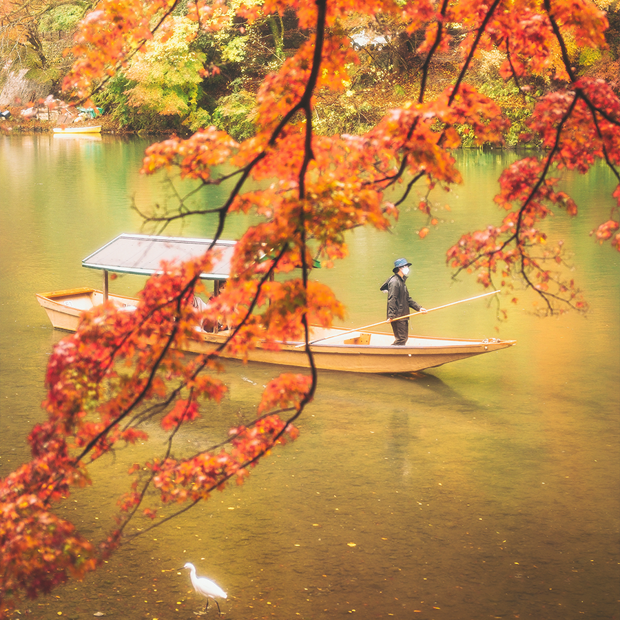 TRAVEL YOUR WAY