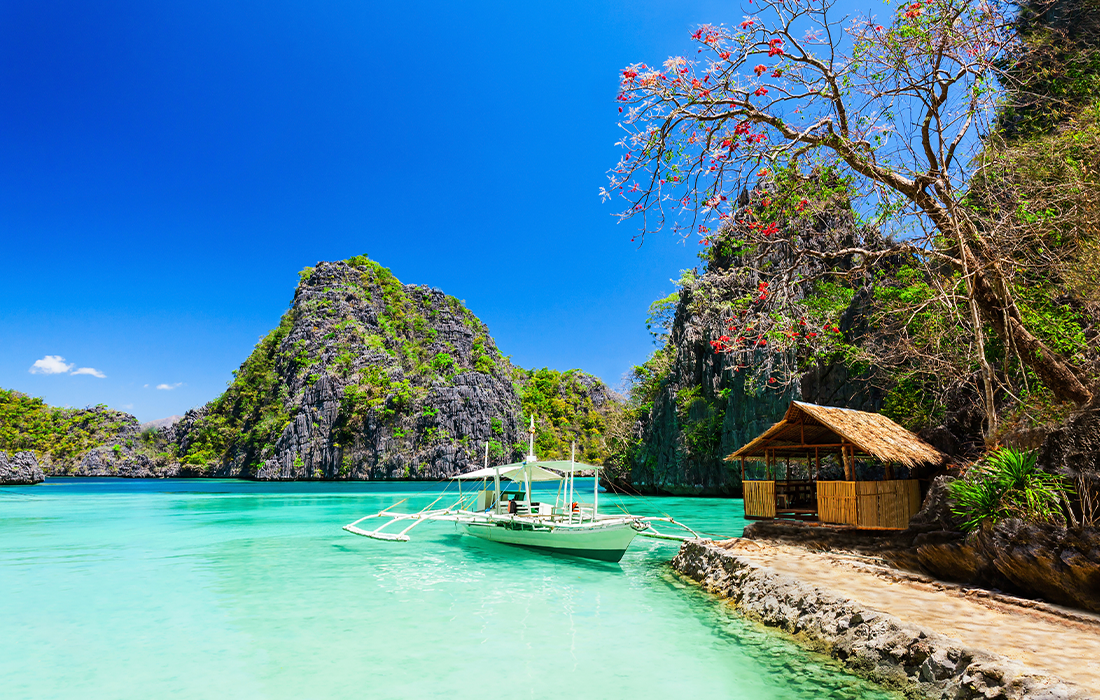 PALAWAN IN BLOOM