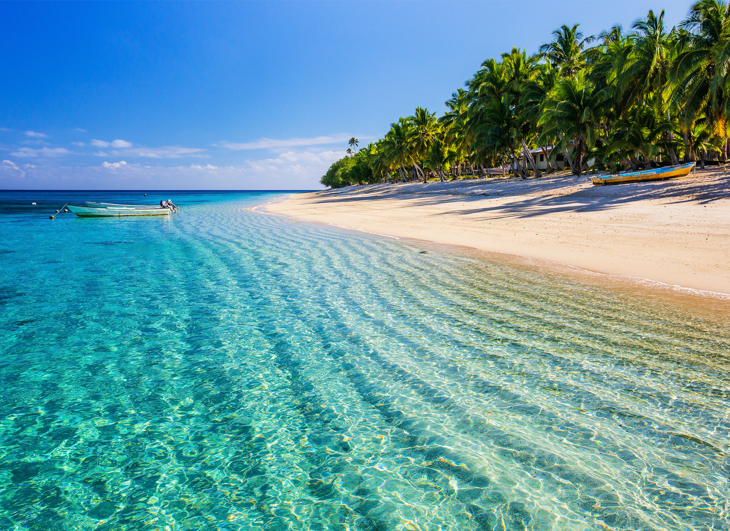 PARADISE FOUND