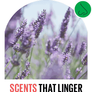 Scents that Linger