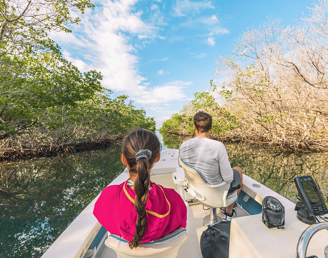 Go on an airboat Everglades tour