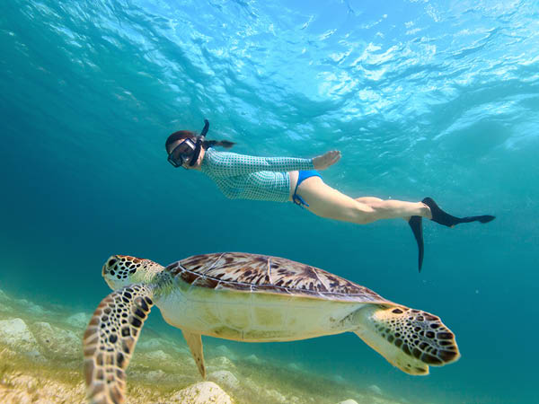 Kajakpaddling med delfiner och sköldpaddor och snorkling kring Teneriffa