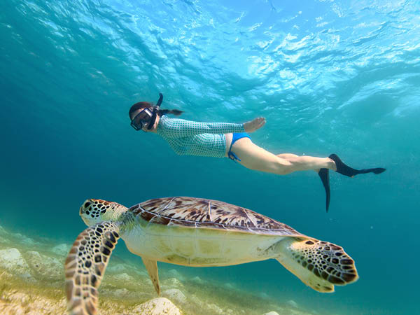 Melontaa delfiinien ja kilpikonnien kanssa sekä snorklausta Teneriffalla