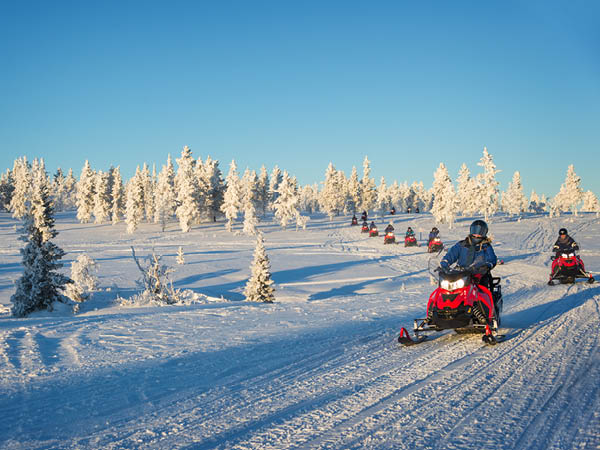 1 tunnin moottorikelkkasafarielämys