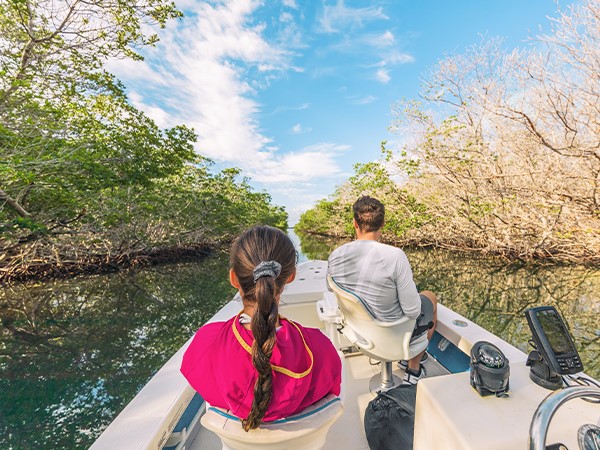 Tour in idroscivolante delle Everglades della Florida