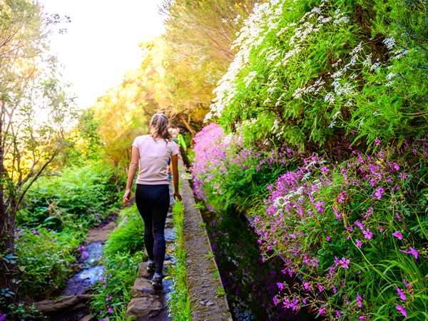 Excursión privada de día completo a la isla de Madeira