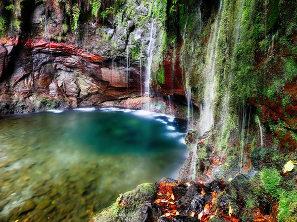 Tour per piccoli gruppi delle cascate a ovest e tour della foresta di Fanal