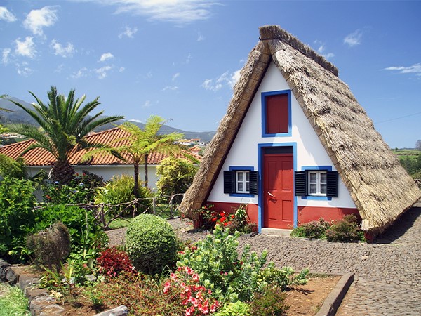 Tour della zona est dell'isola di Madeira con passeggiata a piedi e pranzo a Levada