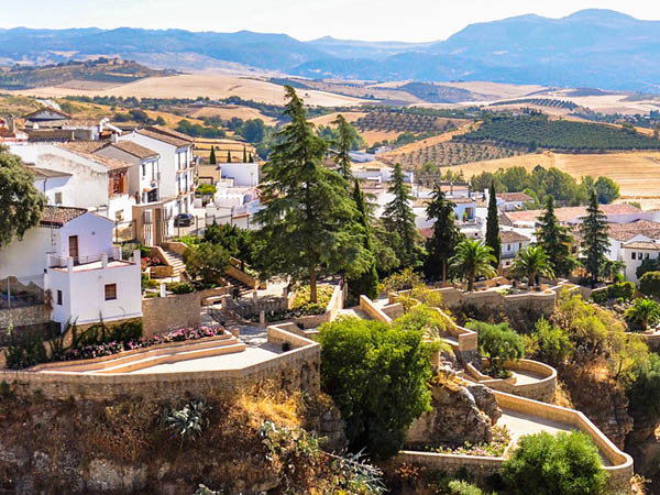 Visita guiada y degustación de aceite de oliva en Ronda