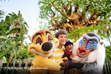 Reserva en Walt Disney World Resort. 4-Park Magic Ticket desde $407 USD por persona...