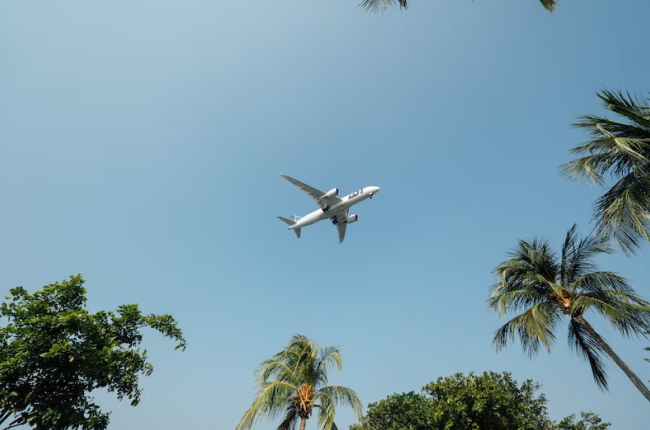 An airplane flying over palm trees