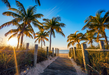 A palm tree lined walkway heading towards a beach at sunrise