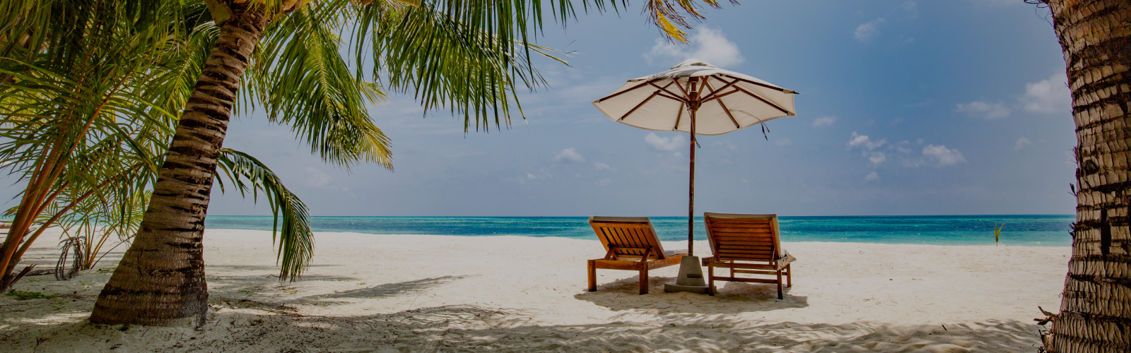 Two chairs with white umbrella on a sandy beach inbetween two palm trees.