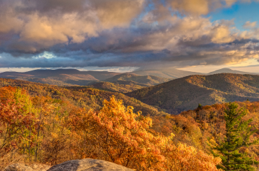 Fall Savings, Just For You